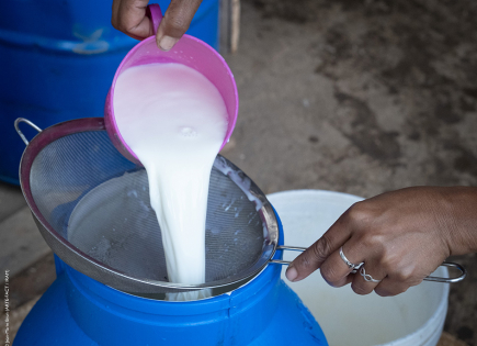 Appui à la mise en œuvre d’un label de qualité et d’un dispositif de garantie dans la filière lait à Madagascar